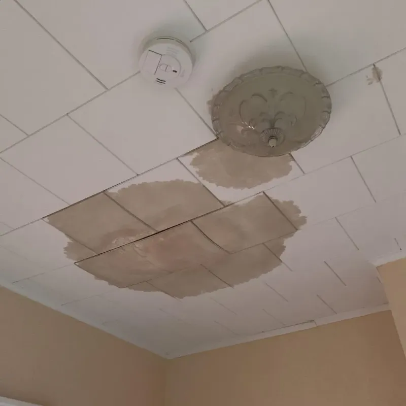 Ceiling Water Damage Repair in Pilot Point, TX