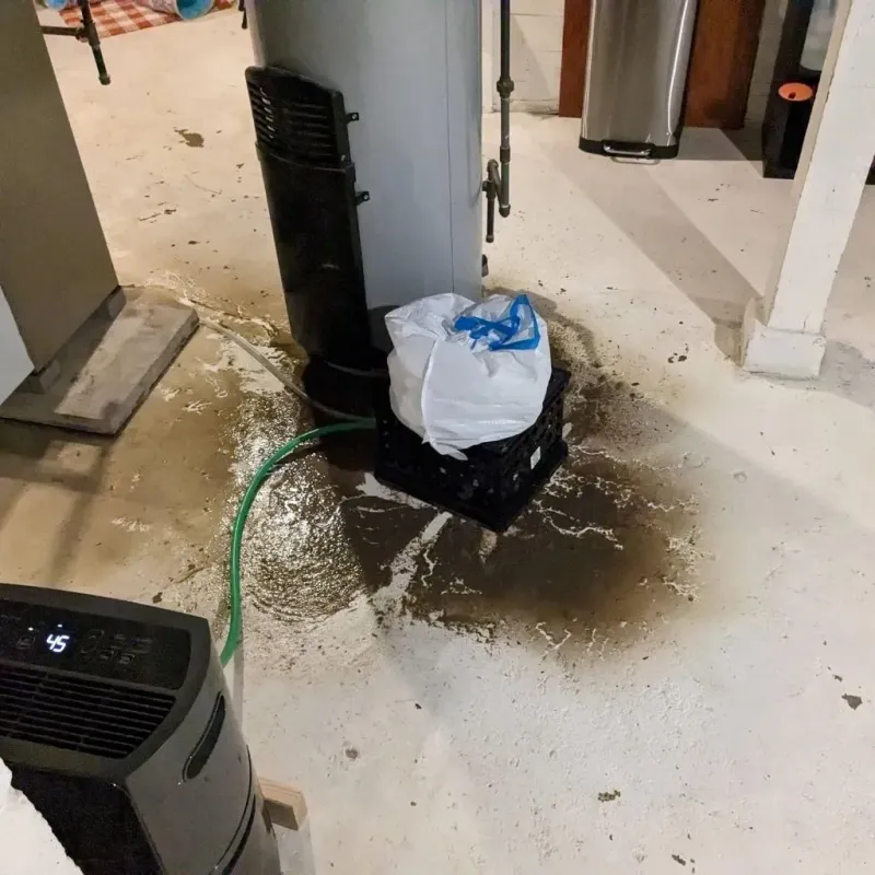 Sewage Backup Cleanup Service in Pilot Point, TX